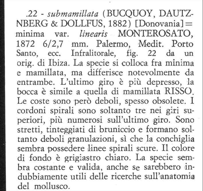 Famiglia Buccinidae: il genere Chauvetia